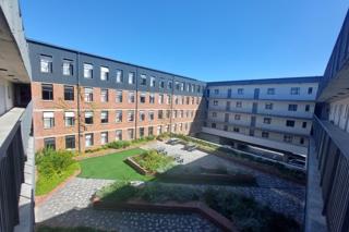 To Let 0 Bedroom Property for Rent in Pinelands Western Cape